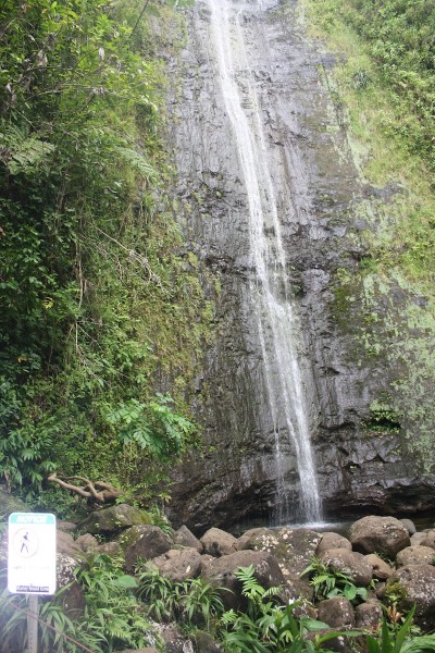Manoa Falls Trickle