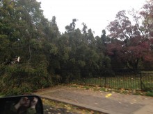 Local Catholic Church - Hurricane Sandy