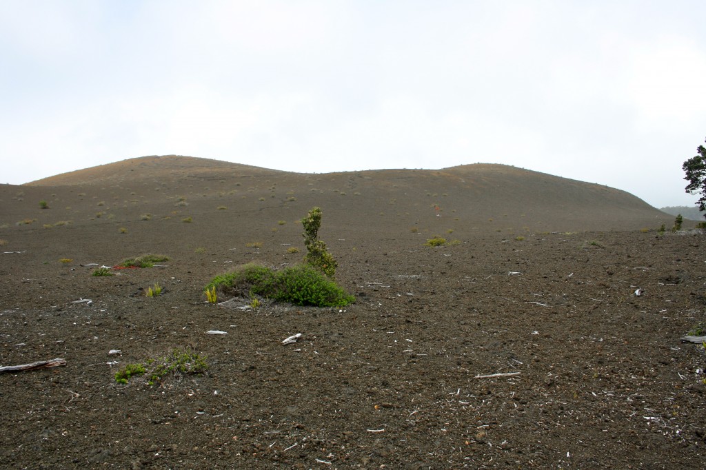 Devastation Trail