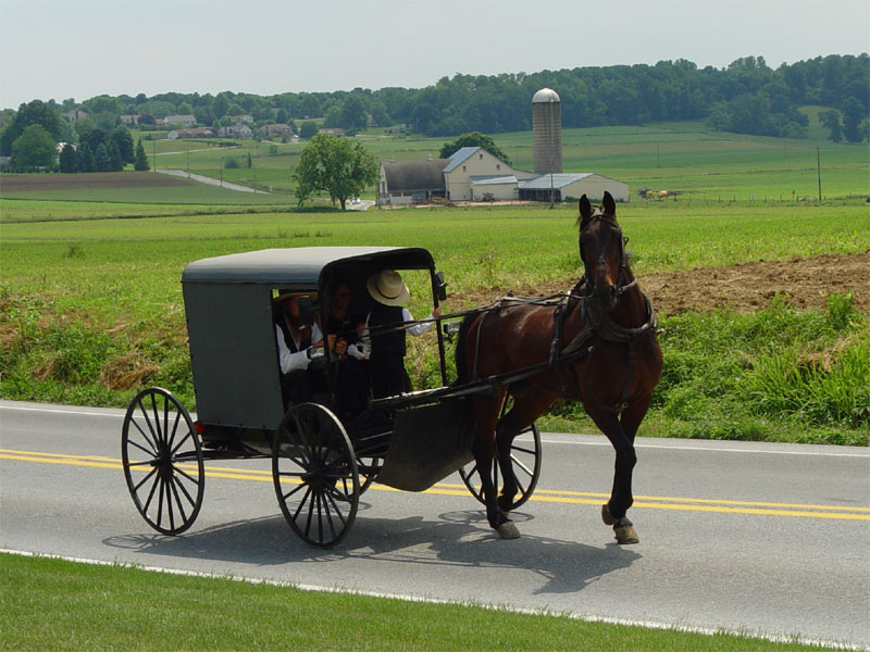 Amish Farmers in New York Denied Gun Rights by SAFE Act